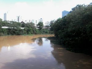 Rio Itapecerica retirada dos aguapés Divinópolis