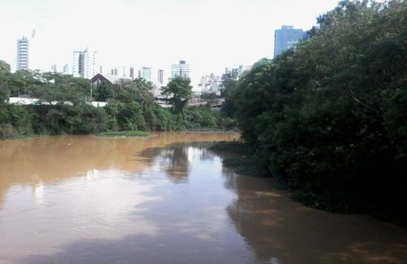 Rio Itapecerica retirada dos aguapés Divinópolis