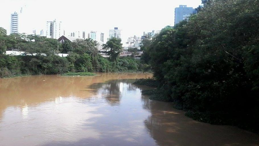 Rio Itapecerica retirada dos aguapés Divinópolis