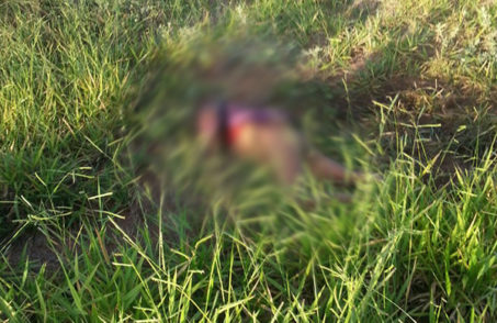Corpo de mulher é encontrado em Nova Serrana
