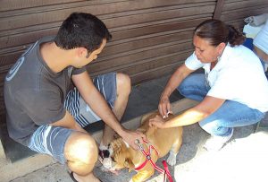 27 mil cães e gatos devem ser vacinados (Foto: Divulgação)