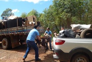 Mutirões irão recolher entulhos e lixos (Foto: Divulgação)