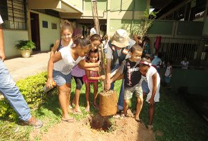 12 árvores foram plantadas na escola (Foto: Divulgação/PMD)