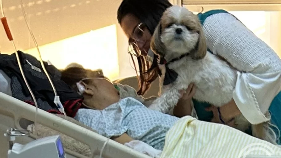 paciente recebe visita do animal de estimação