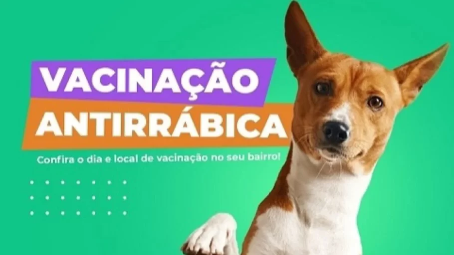 campanha de vacinação antirrábica