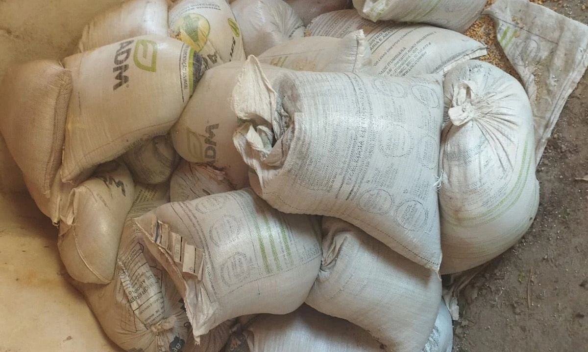 PCMG recupera 39 sacos de adubo furtados em Pains