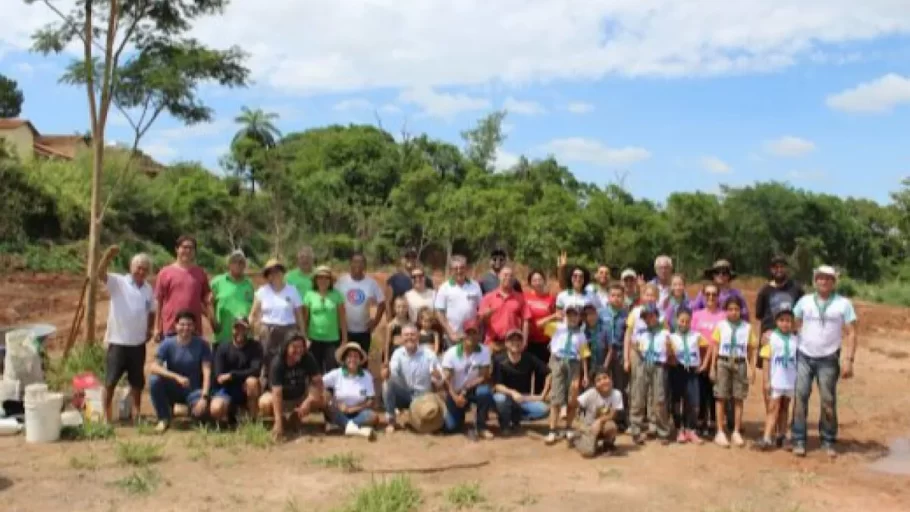 Bom Despacho realiza plantio de mudas de árvores