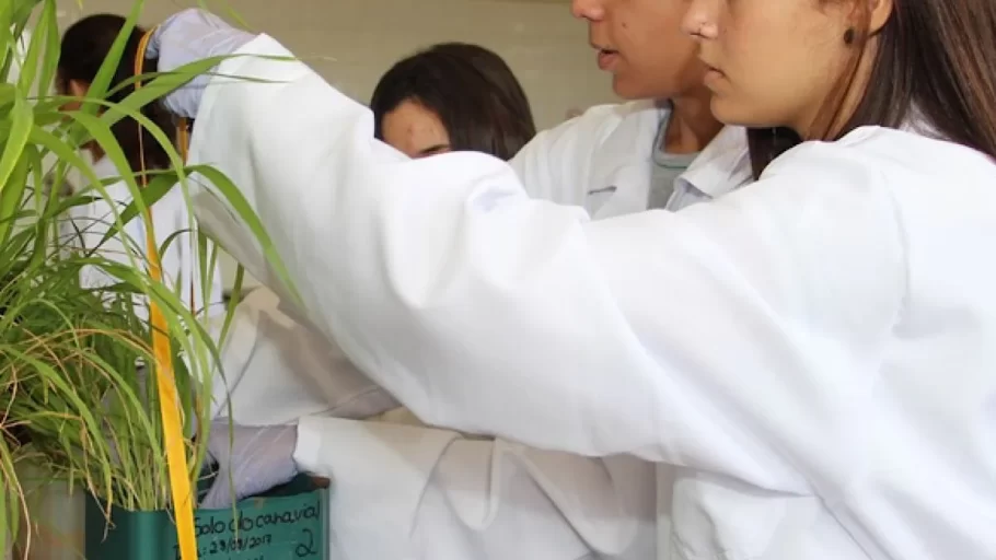 Cursos técnicos gratuitos inscrições abertas em 306 instituições