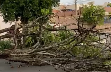 Ocorrências devido a chuva