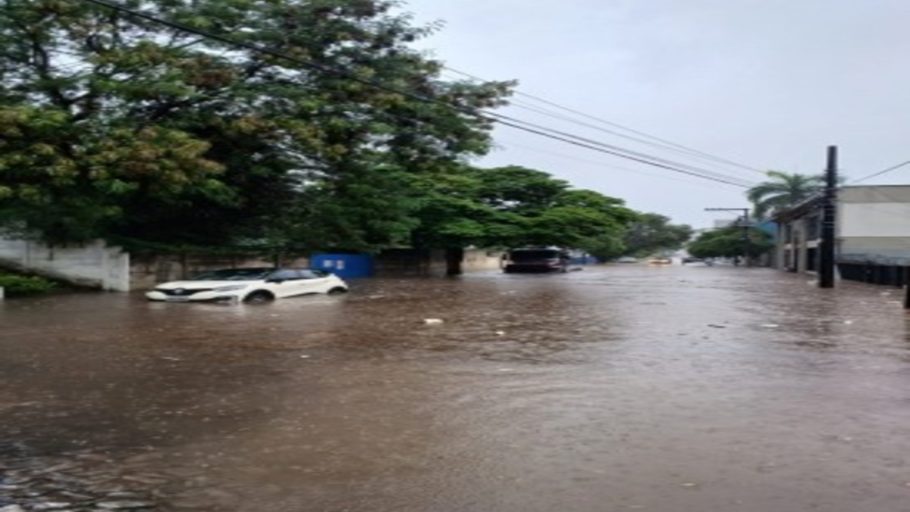 Enxurrada, inundação e queda de árvores foram registrados durante chuva em Divinópolis. (FOTO: DIVULGAÇÃO CORPO DE BOMBEIROS)