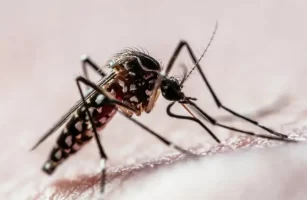 Divinópolis confirma quarta morte por dengue