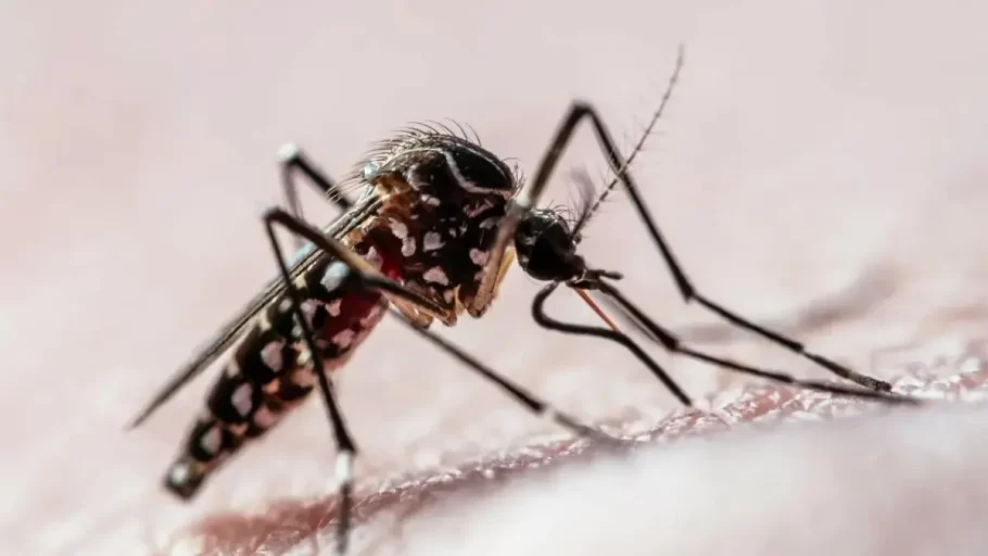 Divinópolis confirma quarta morte por dengue