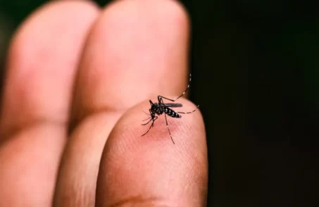 Divinópolis confirma mais de 7 mil casos de dengue