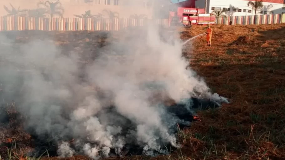Bombeiros combatem incêndio em lote vago em Nova Serrana