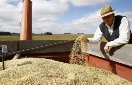 Arroz importado chegará em 40 dias, diz Ministro