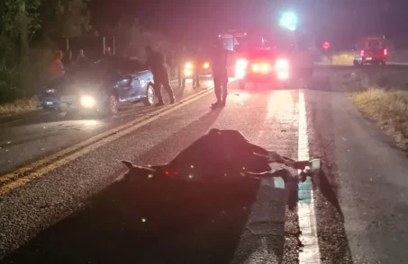 Motociclista fica ferido em acidente com cavalo