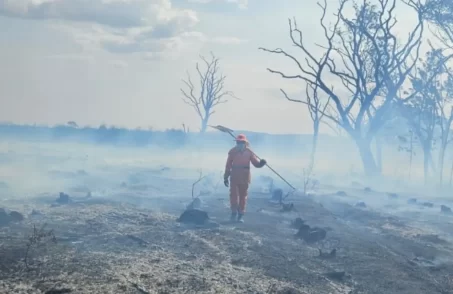 Incêndio queima área de pastagem em Formiga