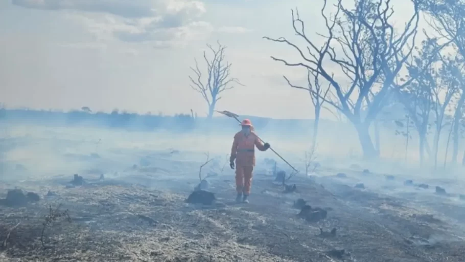 Incêndio queima área de pastagem em Formiga