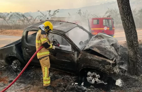 Veículo incendeia após colisão com árvore na estrada de Perdigão