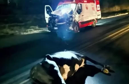 Vaca solta na BR-262 provoca acidente com ambulância do Samu