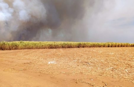 As chamas atingiram uma área equivalente a um campo de futebol. (FOTO: Divulgação Corpo de Bombeiros)