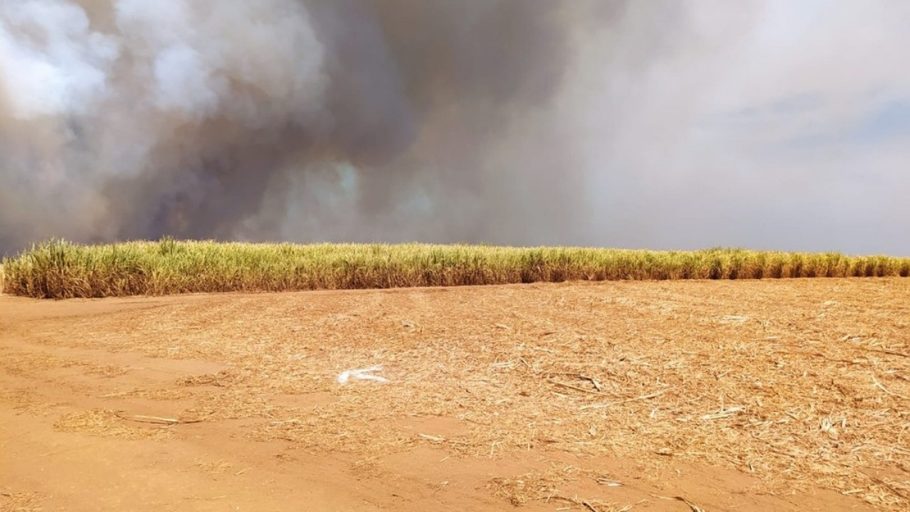 As chamas atingiram uma área equivalente a um campo de futebol. (FOTO: Divulgação Corpo de Bombeiros)