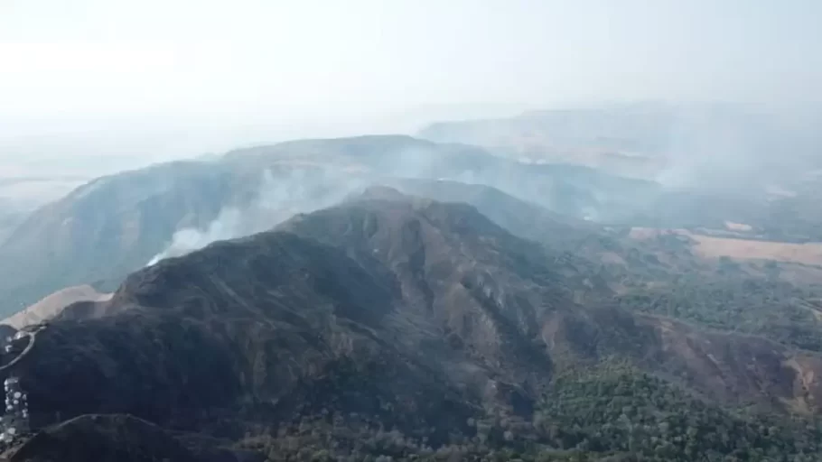 Incêndio atinge 546 hectares de cerrado entre Pimenta e Piumhi