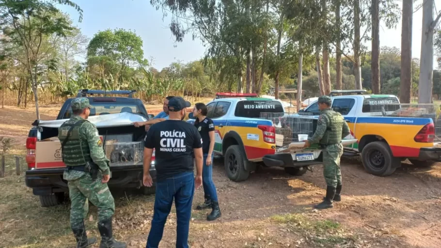 PC resgata 86 animais em situação de maus-tratos em Campo Belo