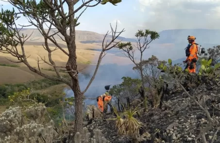 Mais de 200 pessoas foram presas em Minas por incêndios em 2024