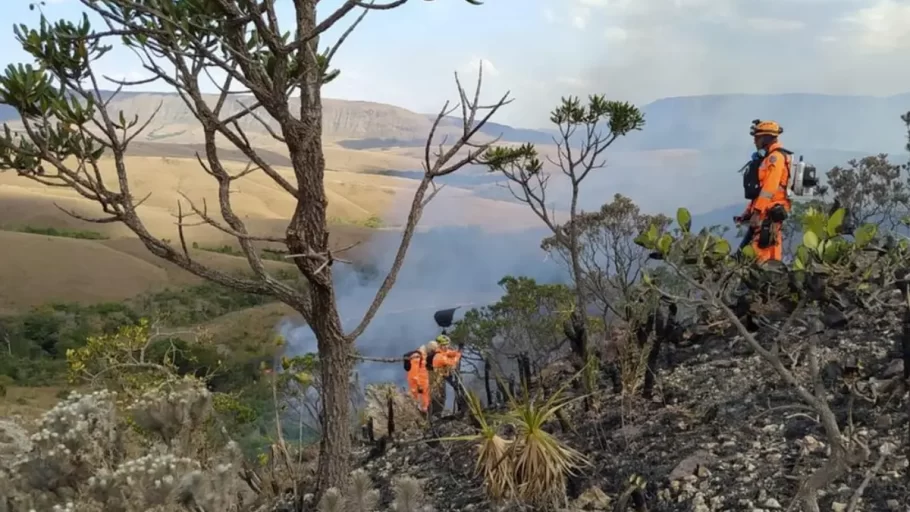 Mais de 200 pessoas foram presas em Minas por incêndios em 2024