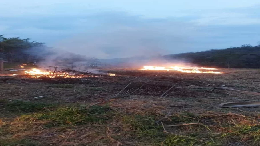 Incêndio em Itaúna destrói 3 mil m² de vegetação