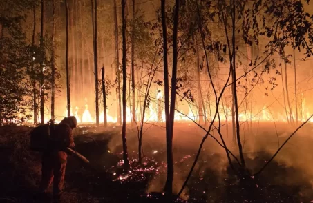 Explosão de botijão de gás provoca incêndio na BR-262 em Moema