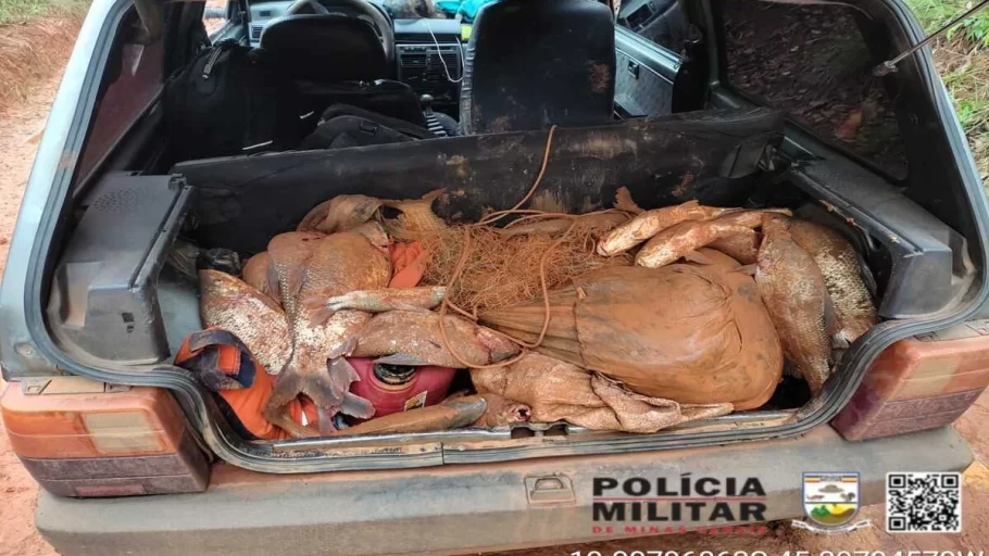 PM apreende 120 kg de pescado ilegal em Abaeté