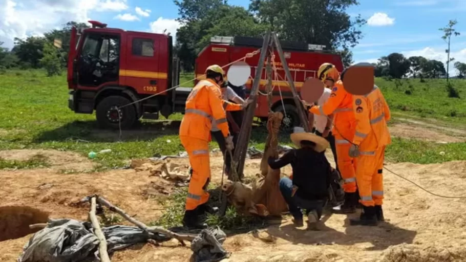 boi resgatado de buraco causado por garimpo ilegal arcos