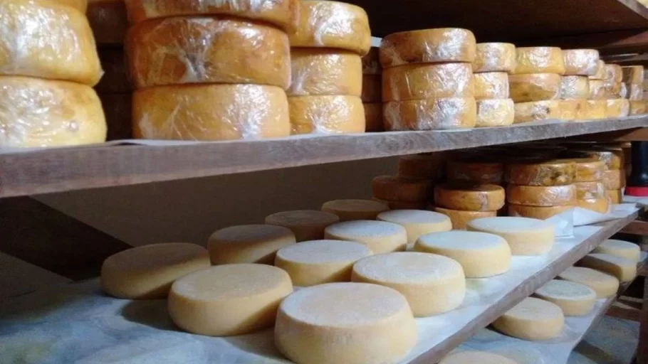 O Queijo Mineiro Um sabor que transcende gerações.(FOTO: Reprodução EPAMIG)